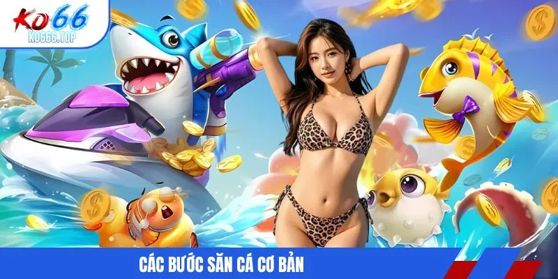 Các bước săn cá cơ bản