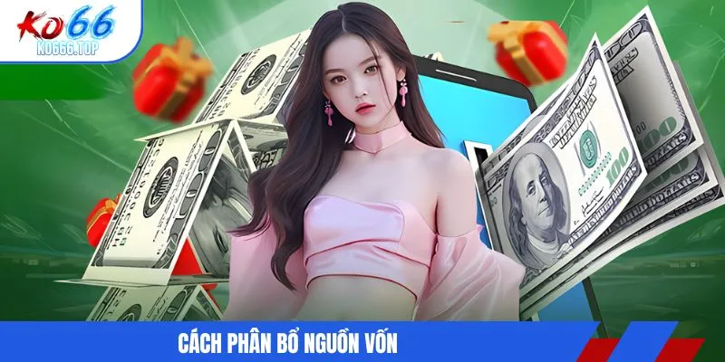 Cách phân bổ nguồn vốn